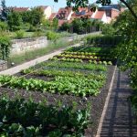 Gärtner- und Häckermuseum Bamberg - Garten - Foto: © Dr. Hubertus Habel